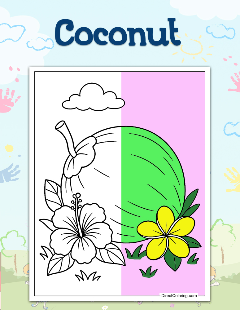Coconut 